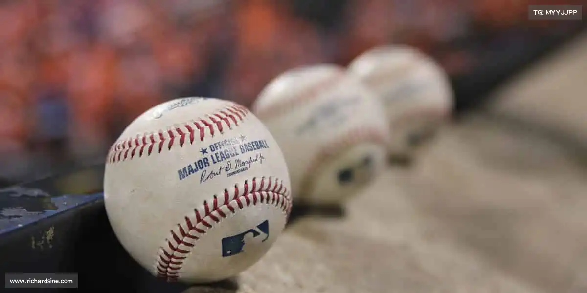 行业领先的理由